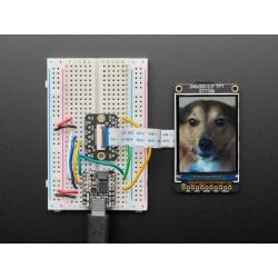 Adafruit 2.0inch 320x240 Color IPS TFT Display with MicroSD Card Breakout