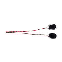 Second Waveshare 2030 Cavity Speaker, 8Ω